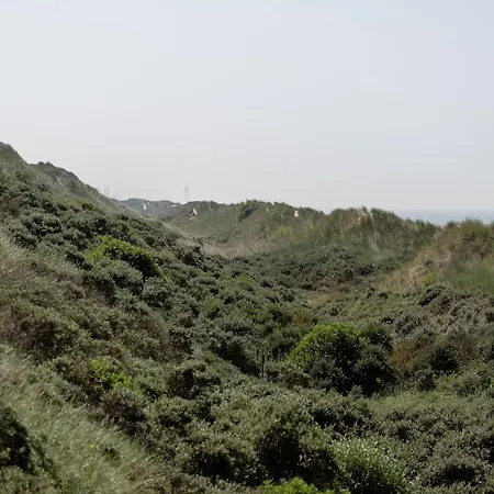 With Stunning Sea View *